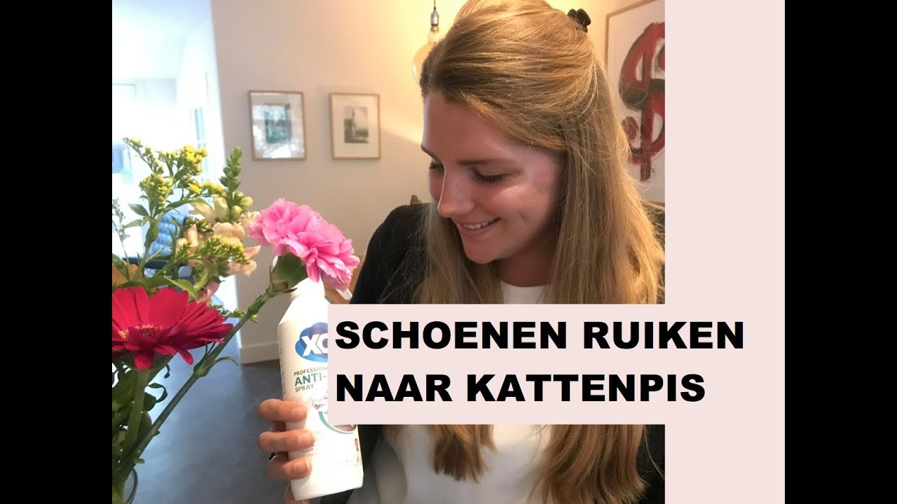 STINKSCHOENEN WEER LEKKER LATEN RUIKEN | DAMESPRAATJES