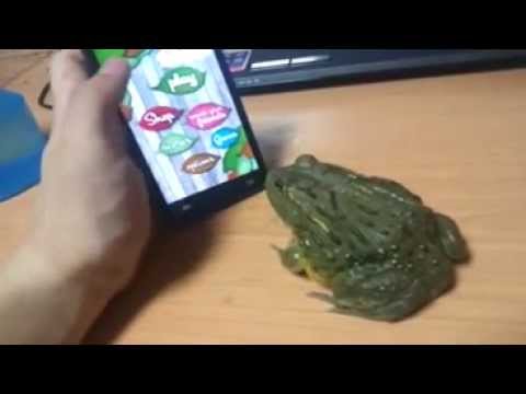How to piss off a frog