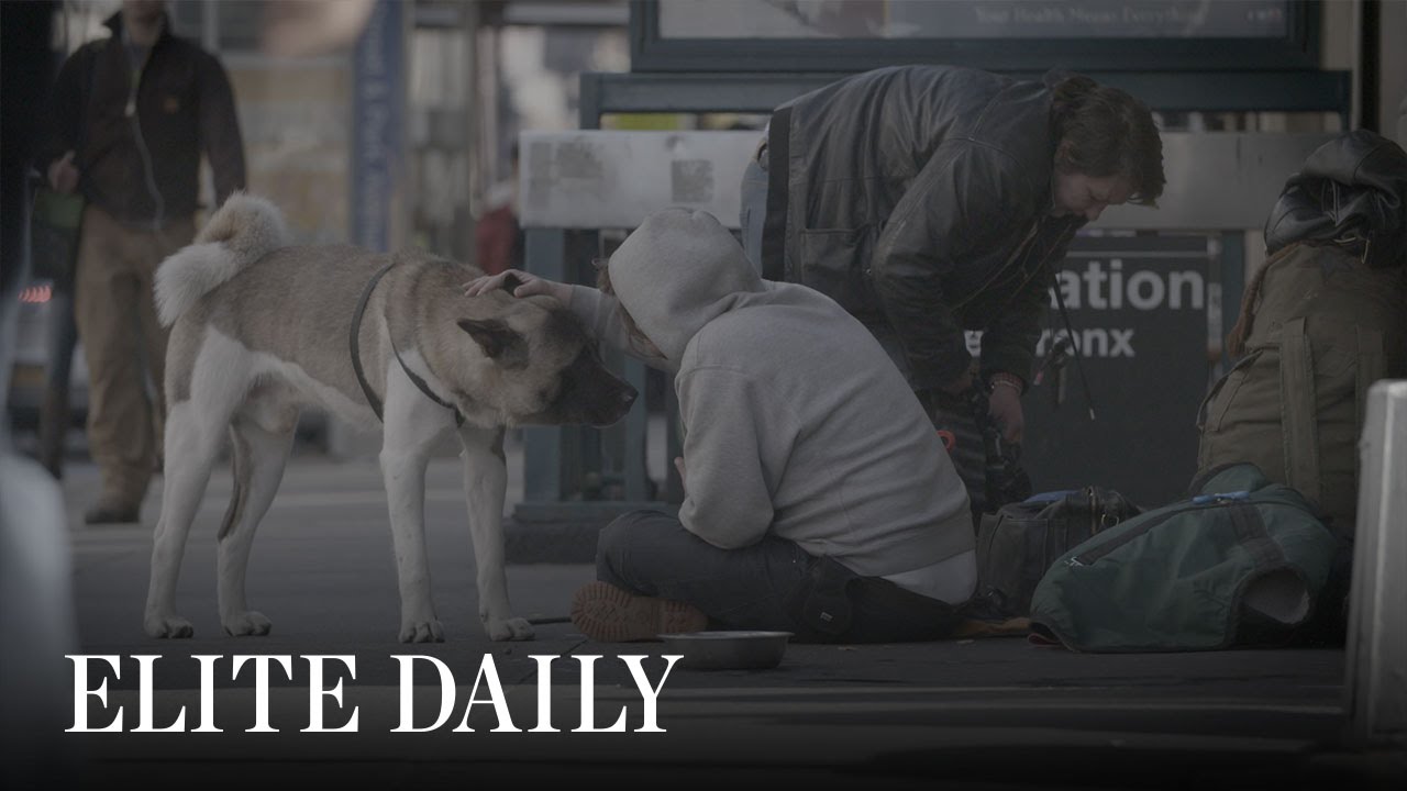 Non-Profit Provides Care For Homeless People's Pets [Insights]