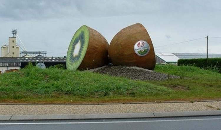 kiwi-rotondes-frankrijk-C