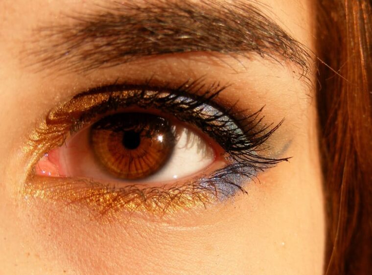 brown-brown-eyes-iris-gene-46279