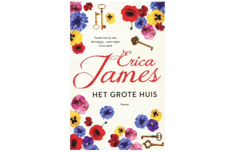 Erica James - Het grote huis - cover