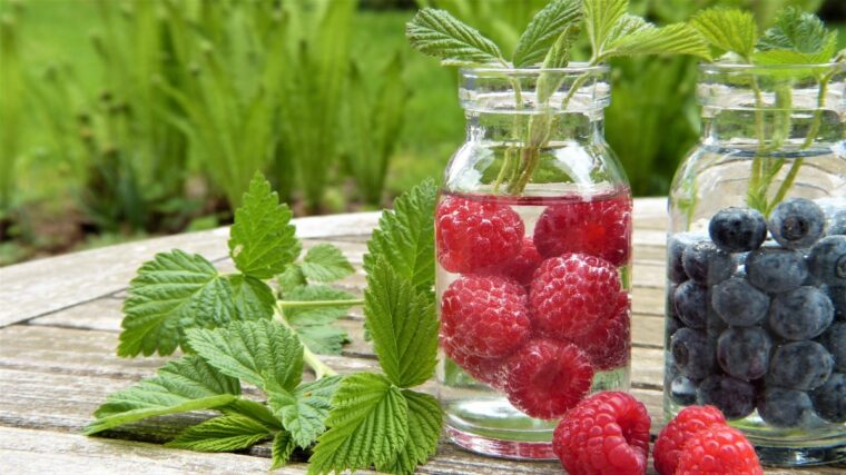 water_fruits_raspberries_blueberries_raspberry_leaves_frisch_healthy_vitamins-1395713