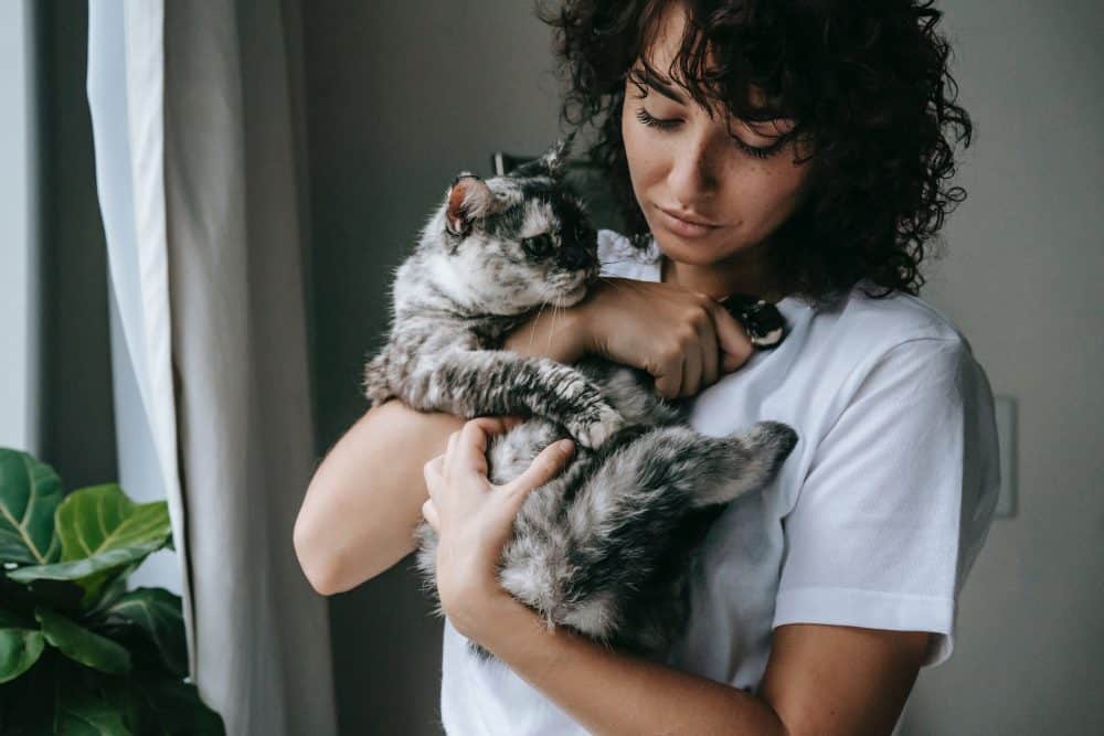 man wil per se een kat