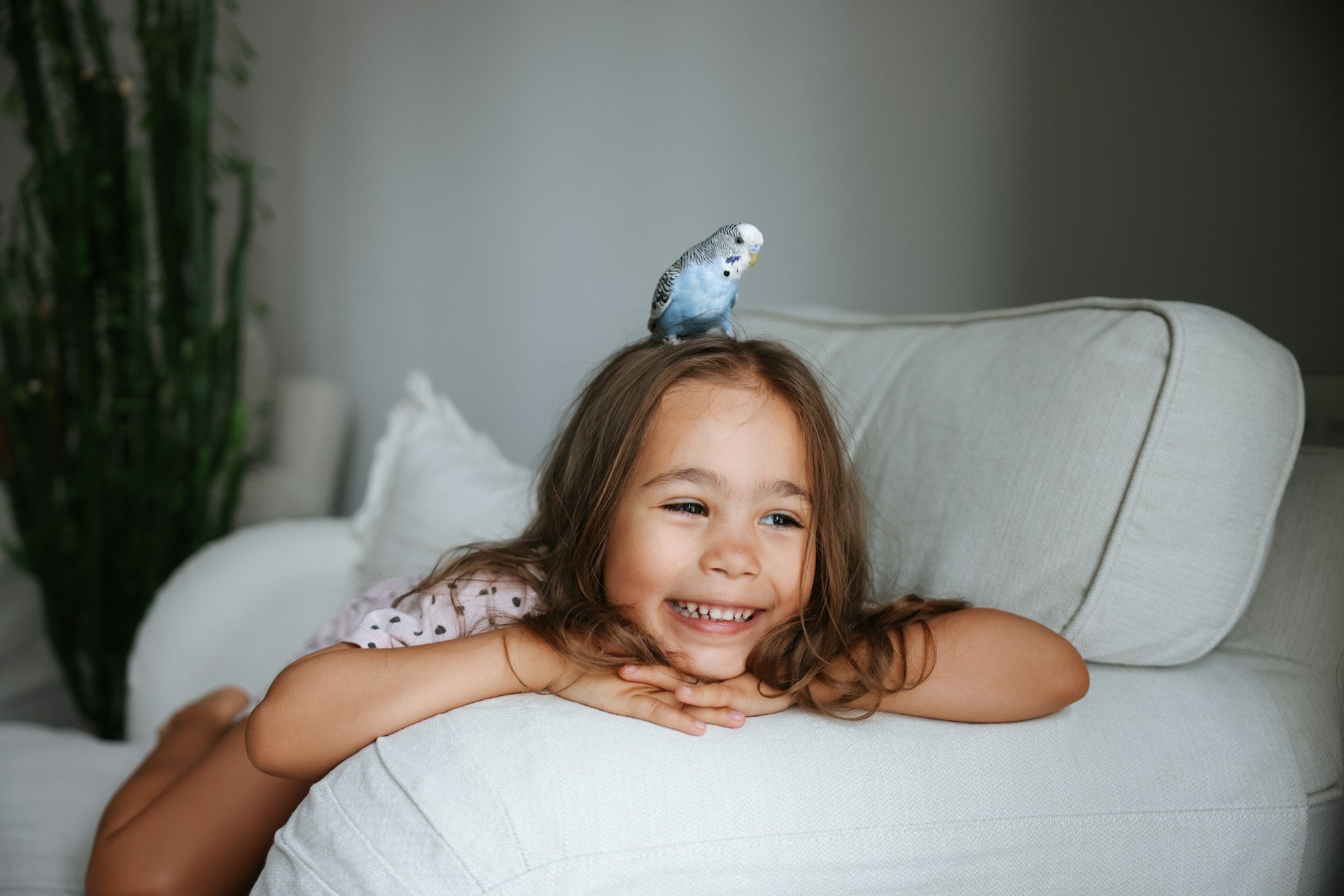 Vogels als je eerste huisdier