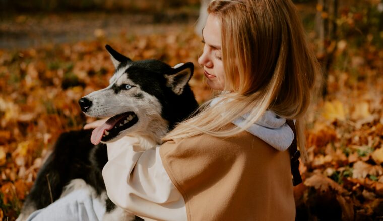 hond belangrijker dan vriend