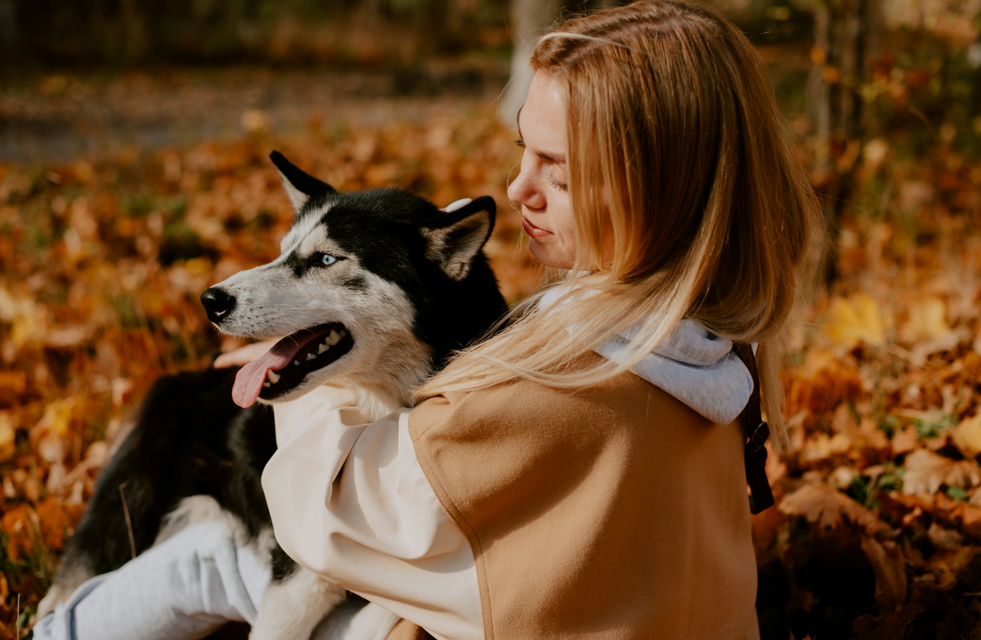 hond belangrijker dan vriend