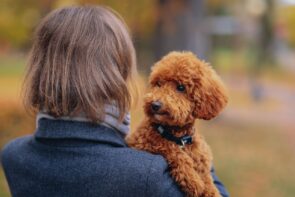 vorige vriend wil hond steeds uitlaten